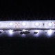 Flexible 60 LED Strip - 4.8W 12V / White LED Flexible 60 LED Strip - 4.8W 12V / White LED